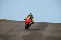 PJ-Motorsport-2019;anglesey-no-limits-trackday;anglesey-photographs;anglesey-trackday-photographs;enduro-digital-images;event-digital-images;eventdigitalimages;no-limits-trackdays;peter-wileman-photography;racing-digital-images;trac-mon;trackday-digital-images;trackday-photos;ty-croes